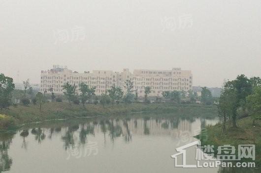 佳源湘湖印象配套图