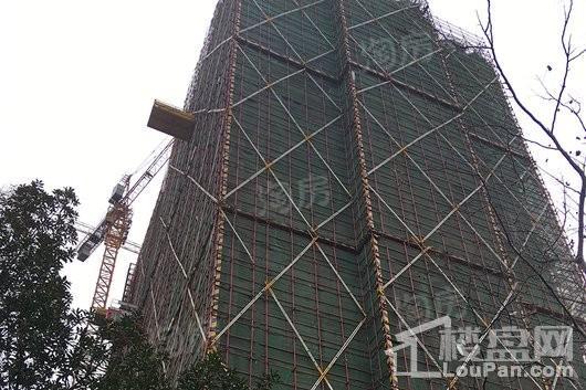 时间名座实景图