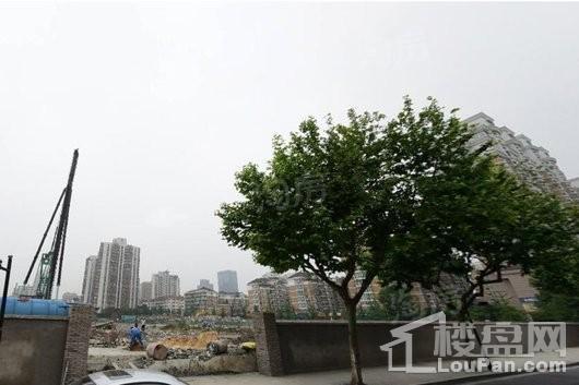 凤起潮鸣实景图