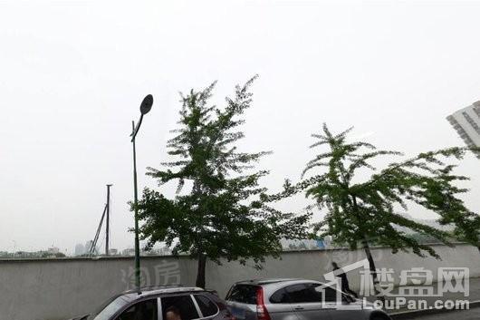 凤起潮鸣实景图