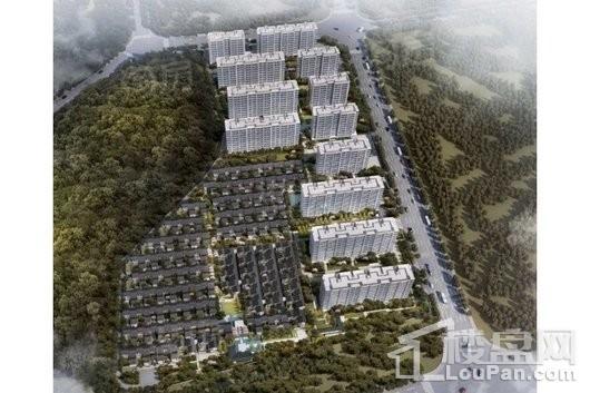 天阳云栖梅林效果图