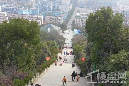 合景天誉配套图