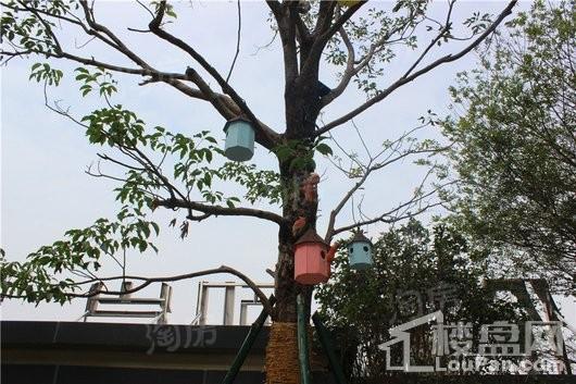 海伦堡·熙岸实景图
