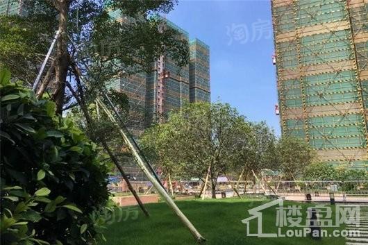 星悦花园实景图