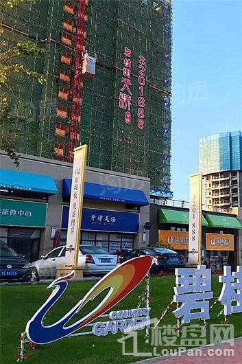 碧桂园天骄公馆实景图