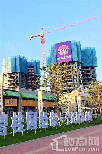 碧桂园天骄公馆实景图
