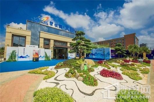碧桂园天骄公馆实景图