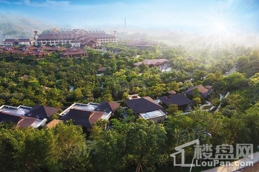 碧桂园·润杨溪谷效果图