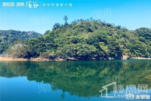 碧桂园·润杨溪谷配套图