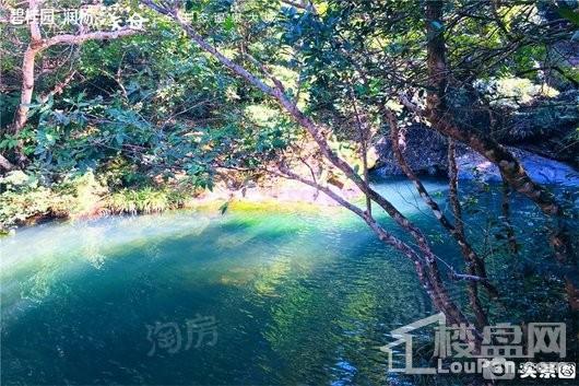 碧桂园·润杨溪谷配套图
