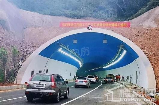 奥园·天翔誉峰配套图