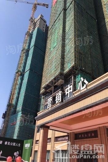 实景图