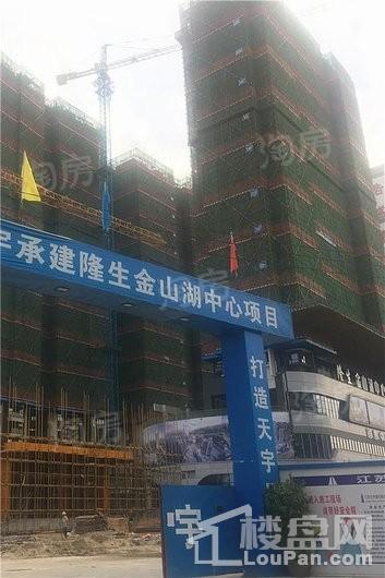 隆生金山湖中心实景图