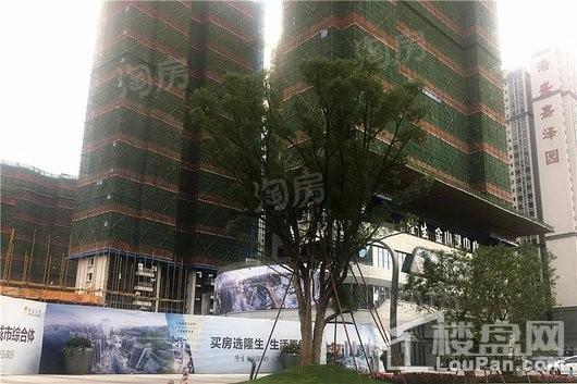 隆生金山湖中心实景图