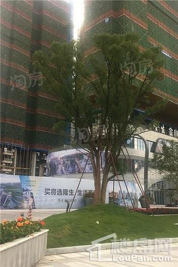 隆生金山湖中心实景图