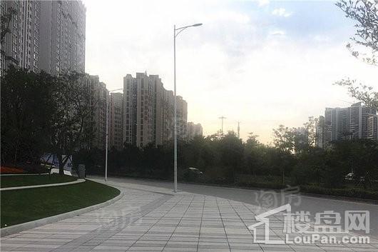 隆生金山湖中心实景图