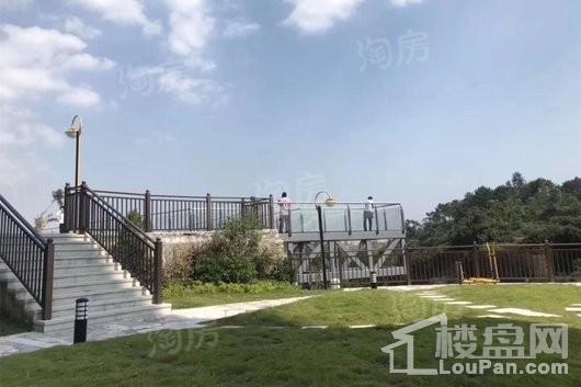 金龟山·鑫鼎园实景图