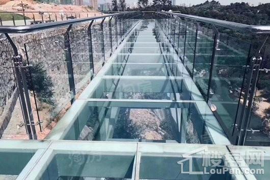 金龟山·鑫鼎园实景图