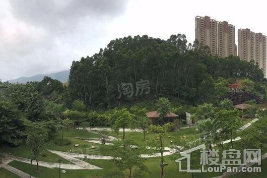 金龟山·鑫鼎园实景图