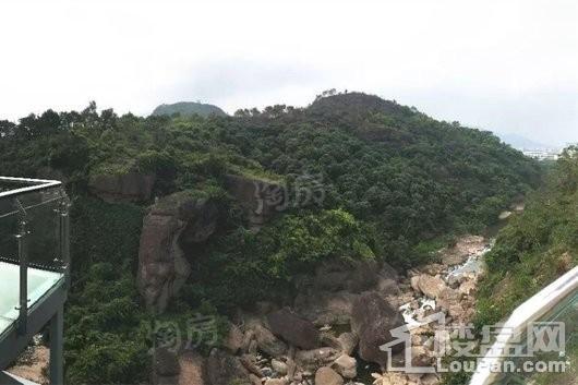 金龟山·鑫鼎园实景图
