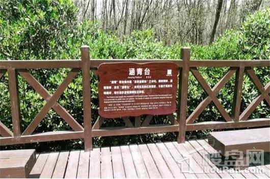 周边配套图