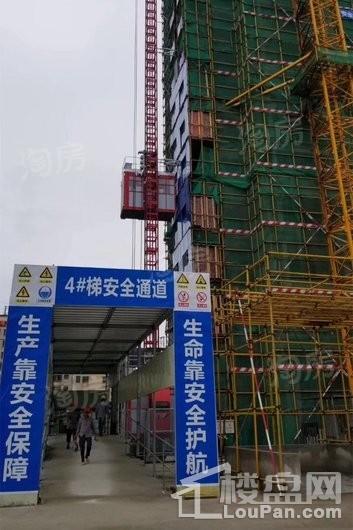 实景图