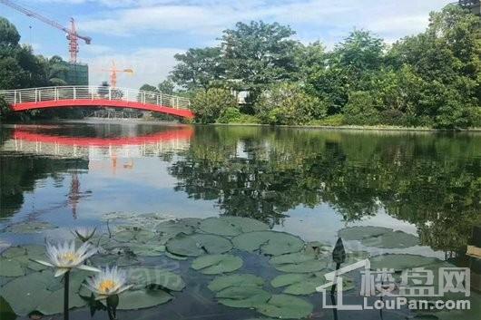 金地天润自在城实景图