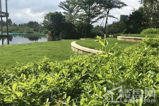 金地天润自在城实景图