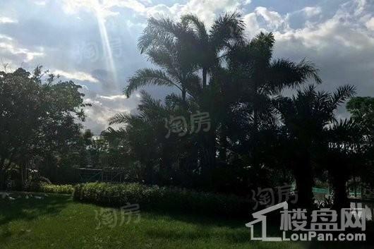 金地天润自在城实景图