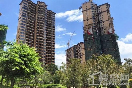 东江豪门实景图