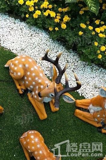 万燊花苑实景图