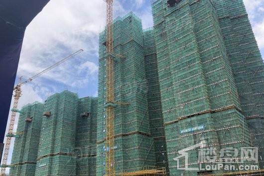 万燊花苑实景图