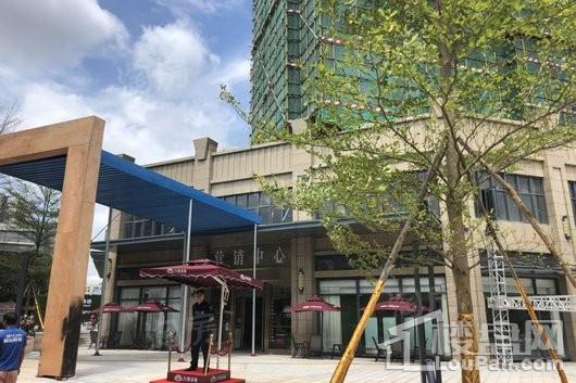 万燊花苑实景图