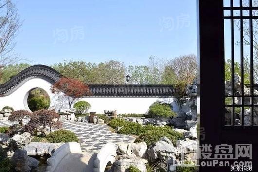 親和家源·颐和源实景图