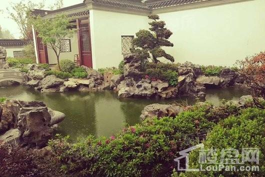 親和家源·颐和源实景图