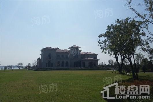 中赫玫瑰园实景图