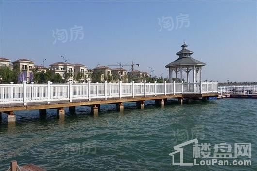 中赫玫瑰园实景图