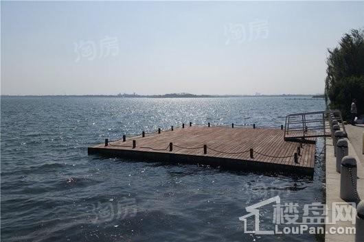 中赫玫瑰园实景图