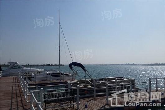 中赫玫瑰园实景图