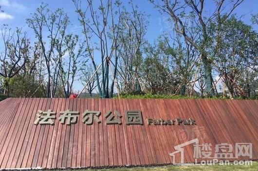 蔚蓝四季花园实景图