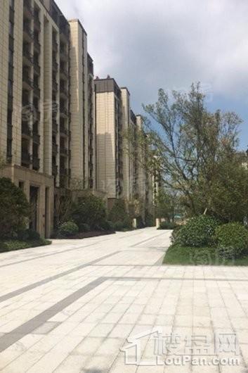 金辉悠步临湖实景图