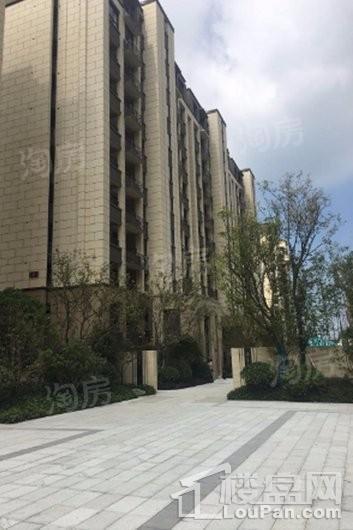 金辉悠步临湖实景图