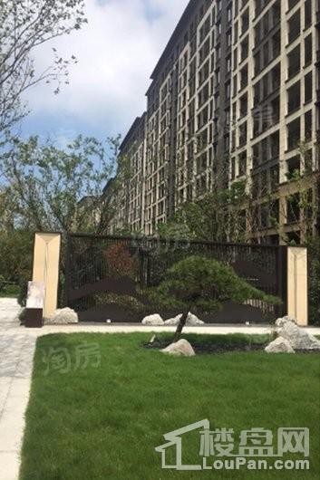 金辉悠步临湖实景图