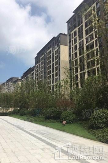 金辉悠步临湖实景图