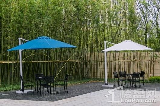 金辉悠步临湖实景图