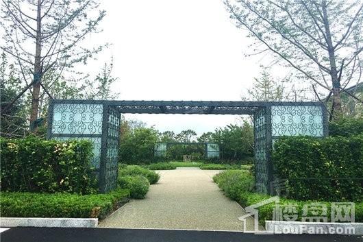 实地·天津海棠雅著实景图