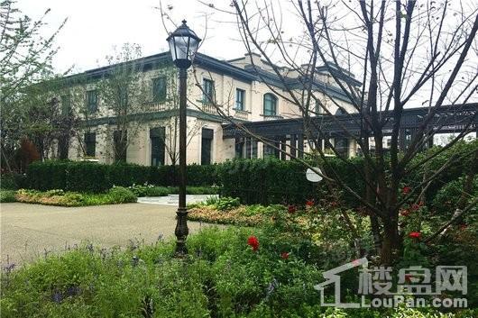 实地·天津海棠雅著实景图
