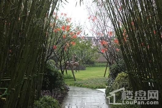 合景·天峻实景图