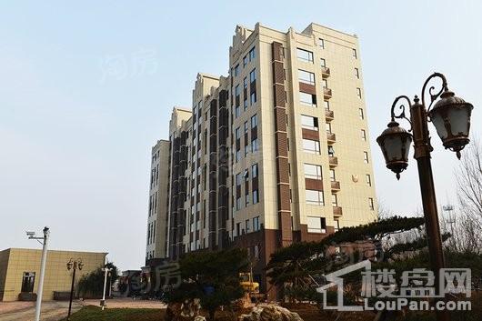 泺亨国际居住区实景图