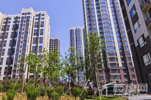 泺亨国际居住区实景图